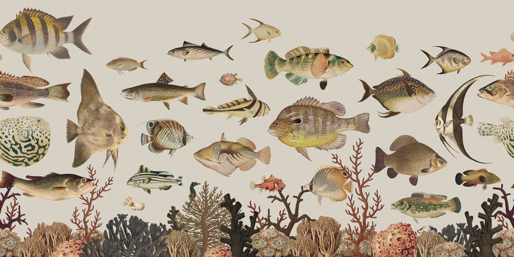 Animals