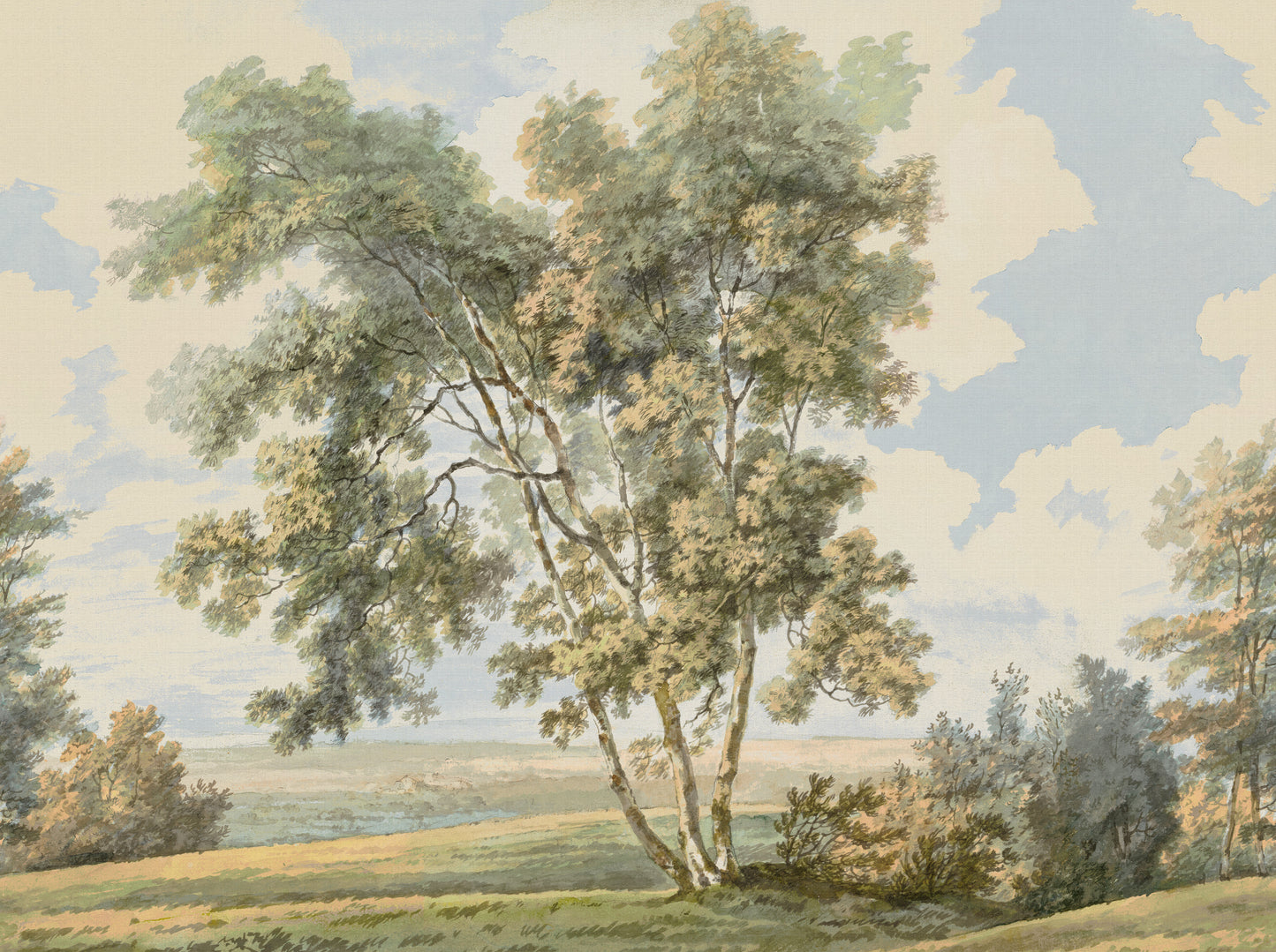 Countryside landscape with trees and a clear sky