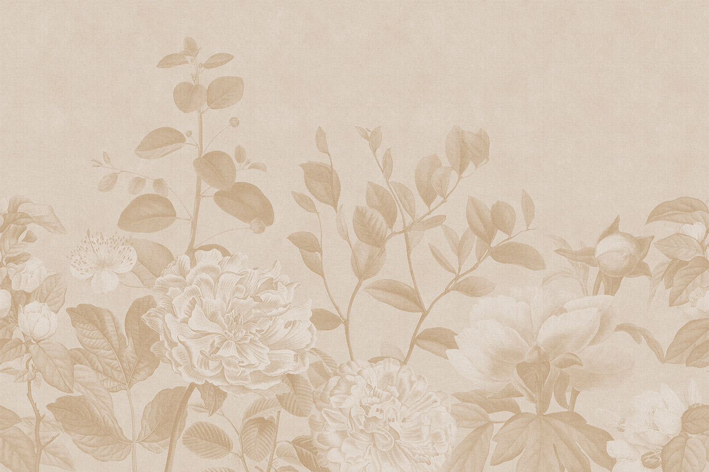 May Blossom, Beige