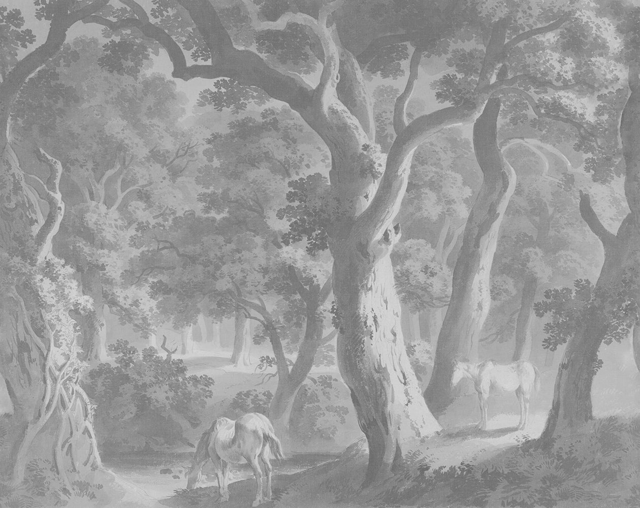 The Vintage Forest, Charcoal
